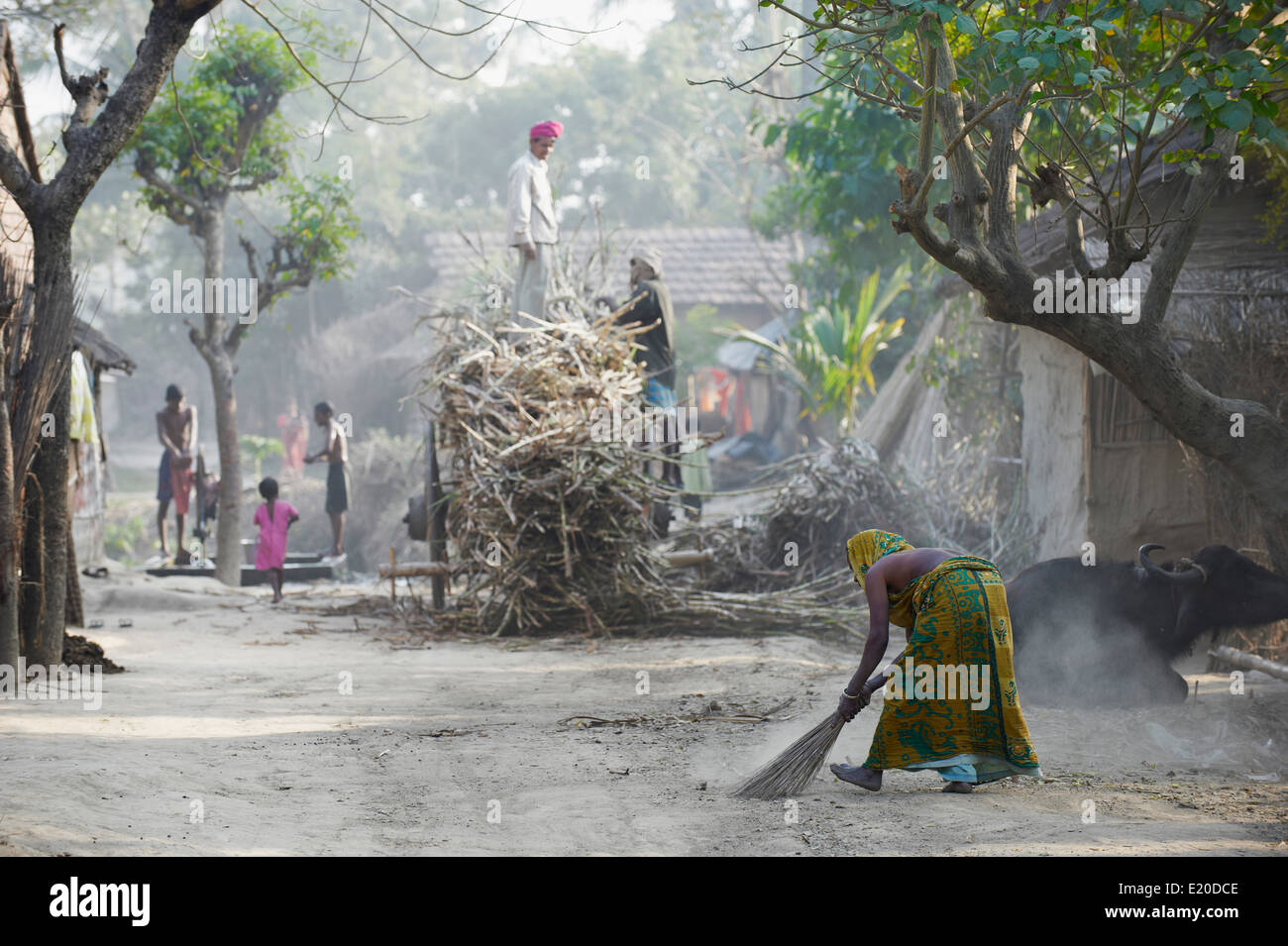 India, West Bengal, village around Murshidabad Stock Photo