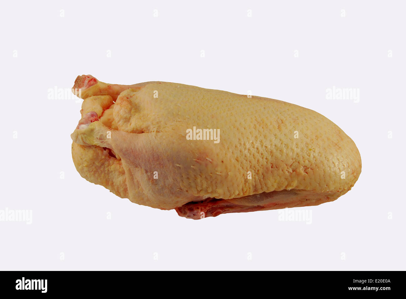 Raw Duck Stock Photo Alamy