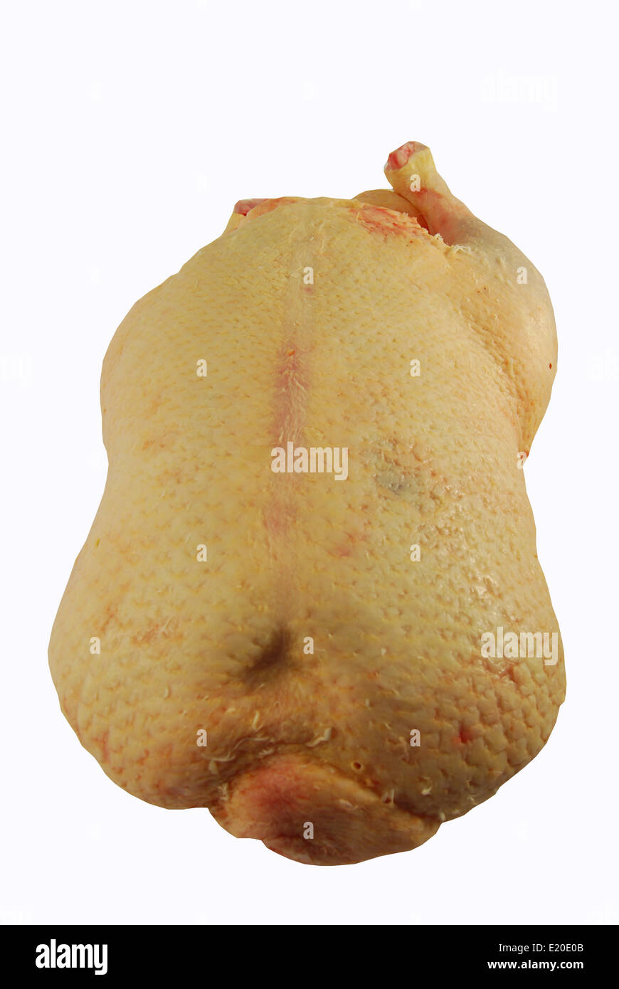 A prepared Duck Stock Photo - Alamy
