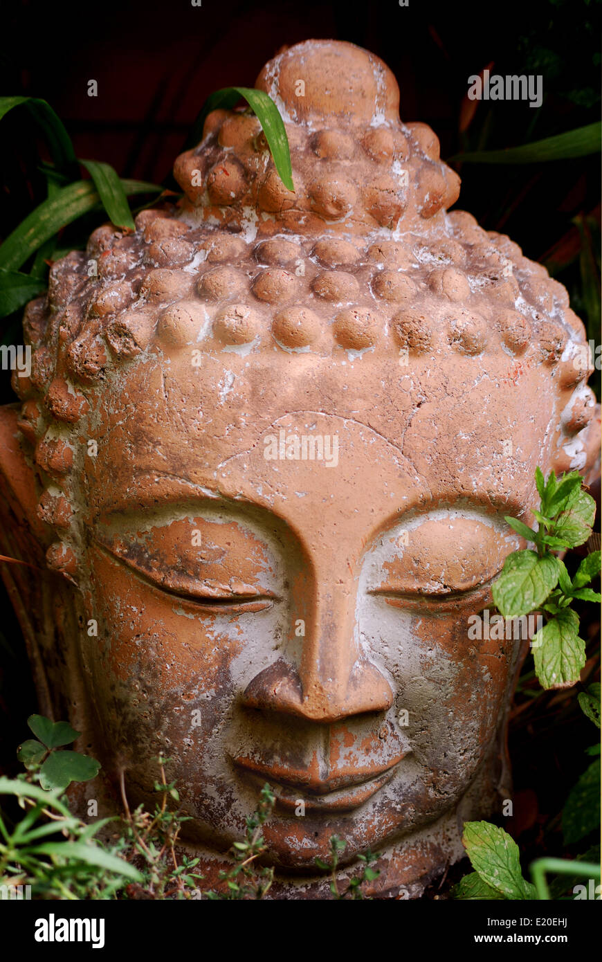 Buddah Head Stock Photo