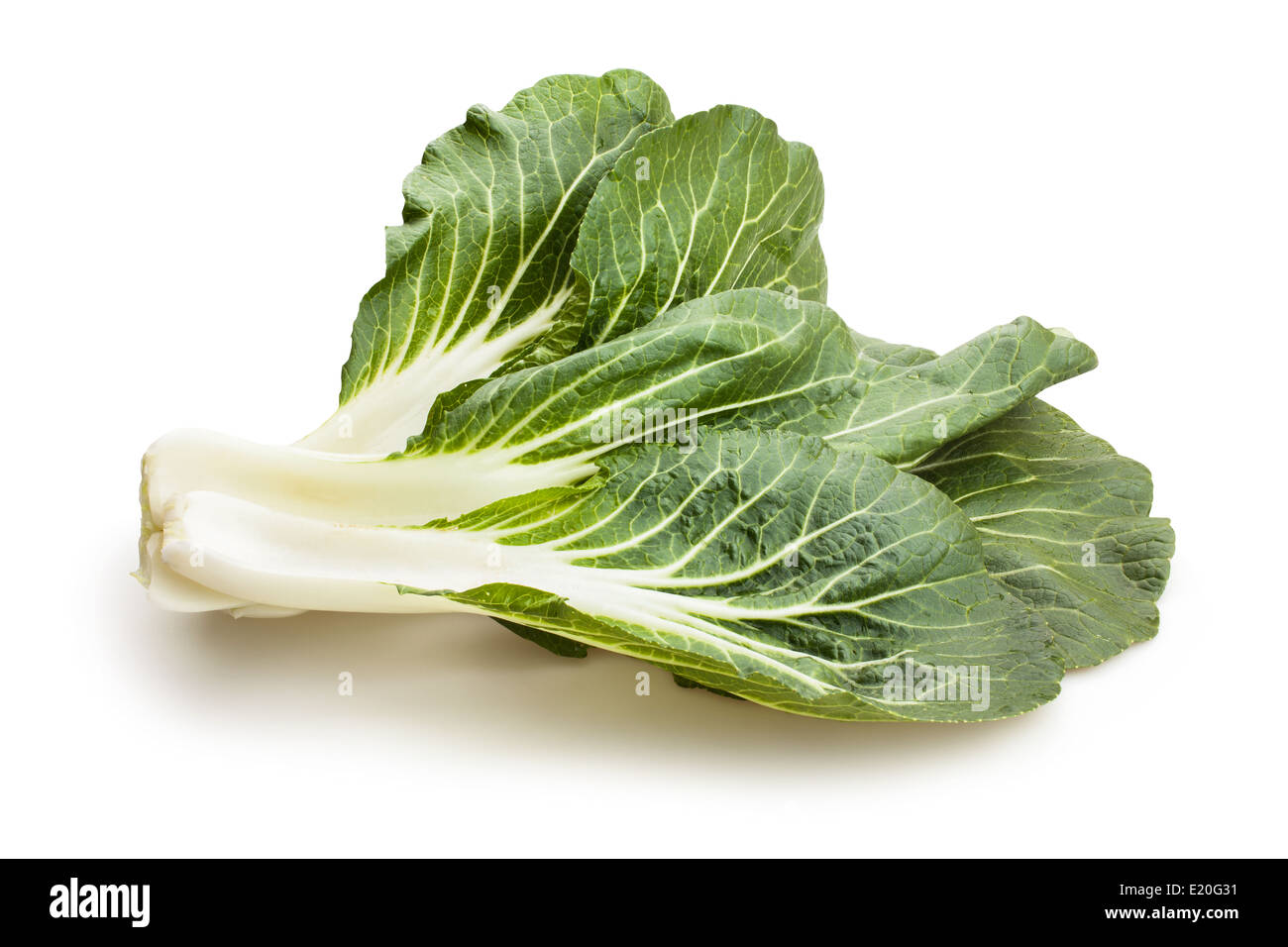 bok choy chinese cabbage leaves isolated Stock Photo