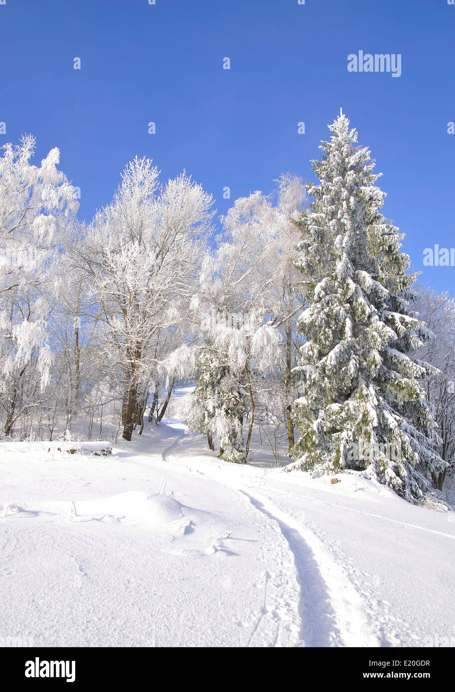idyllic Winter Landscape Stock Photo