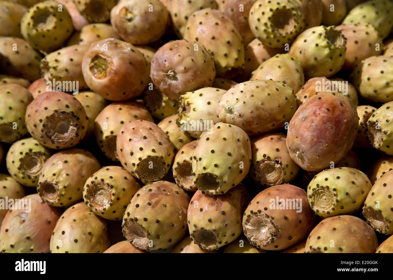 Dried up cactus hi-res stock photography and images - Alamy