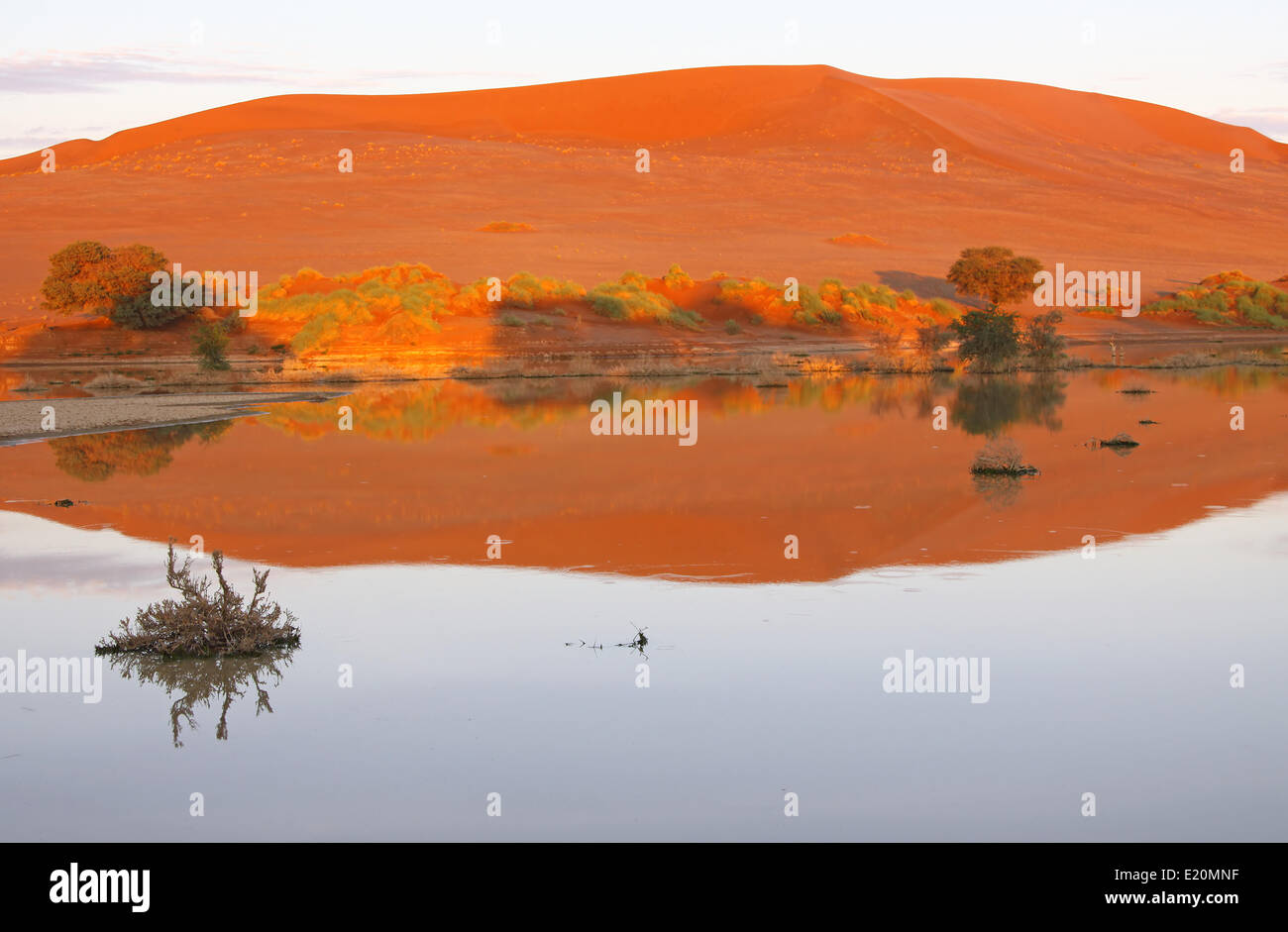 water at Sossusvlei, Namibia, rain saison Stock Photo