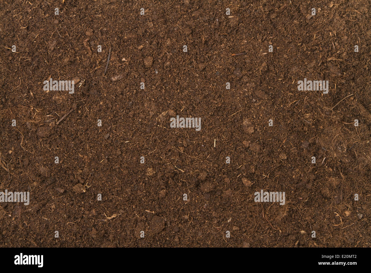 peat soil Stock Photo