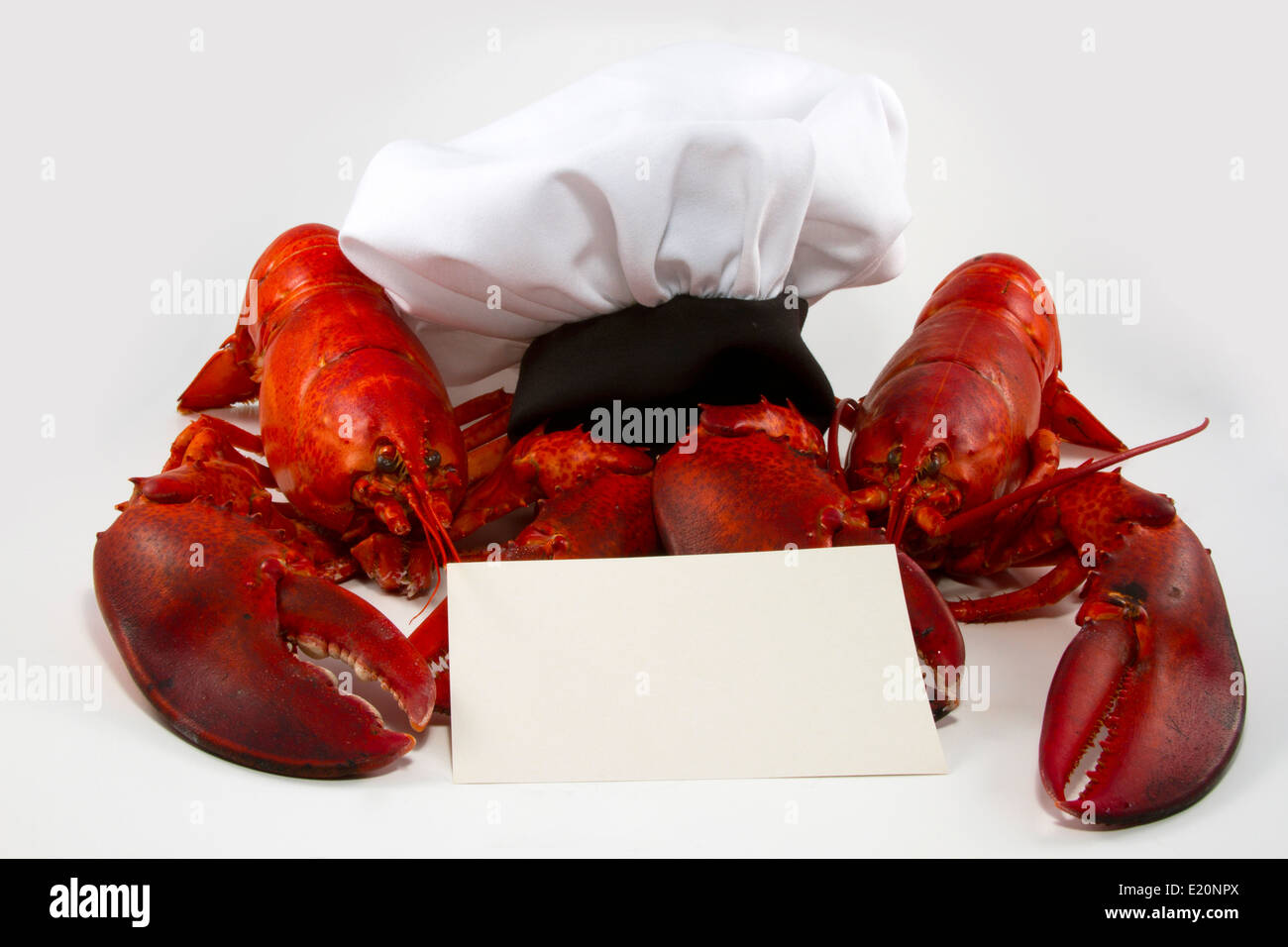 Two cooked whole lobsters holding a menu or recipe card with a chef's