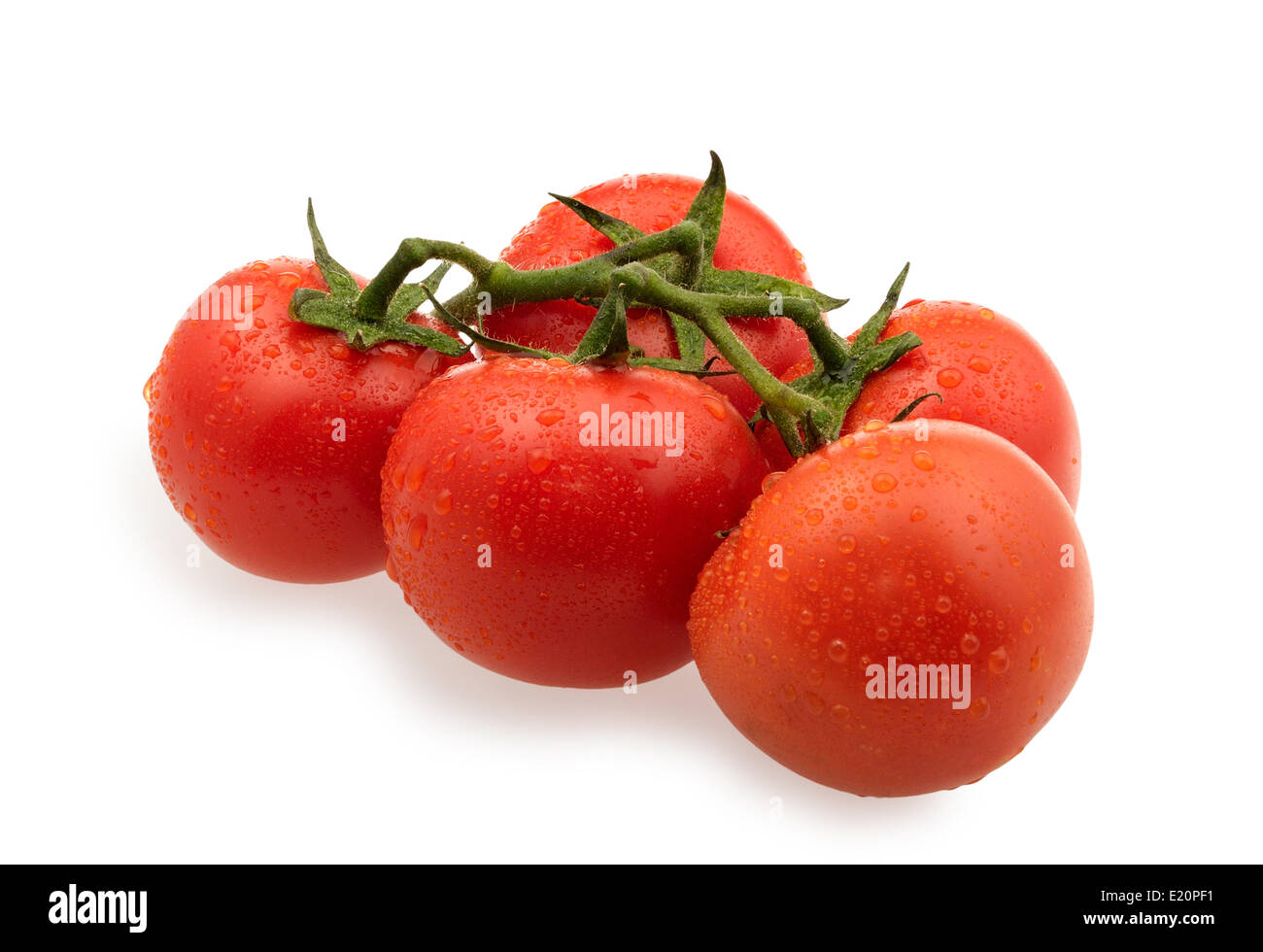 branch of red tomatoes Stock Photo - Alamy