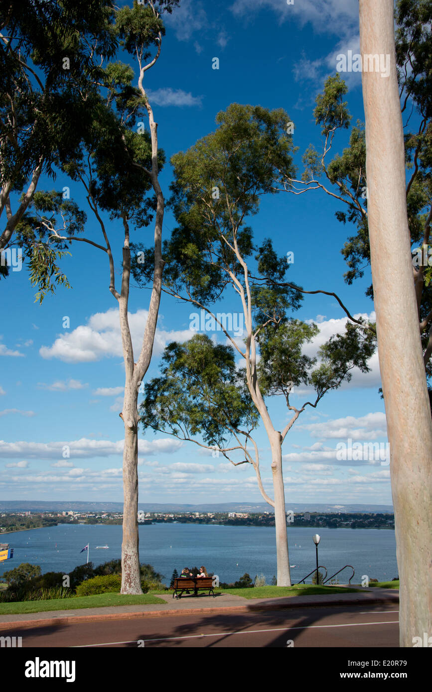 Australia, Western Australia, Perth. King's Park. Swan River view from Fraser Avenue, Lemon-scented gum tree lined road. Stock Photo