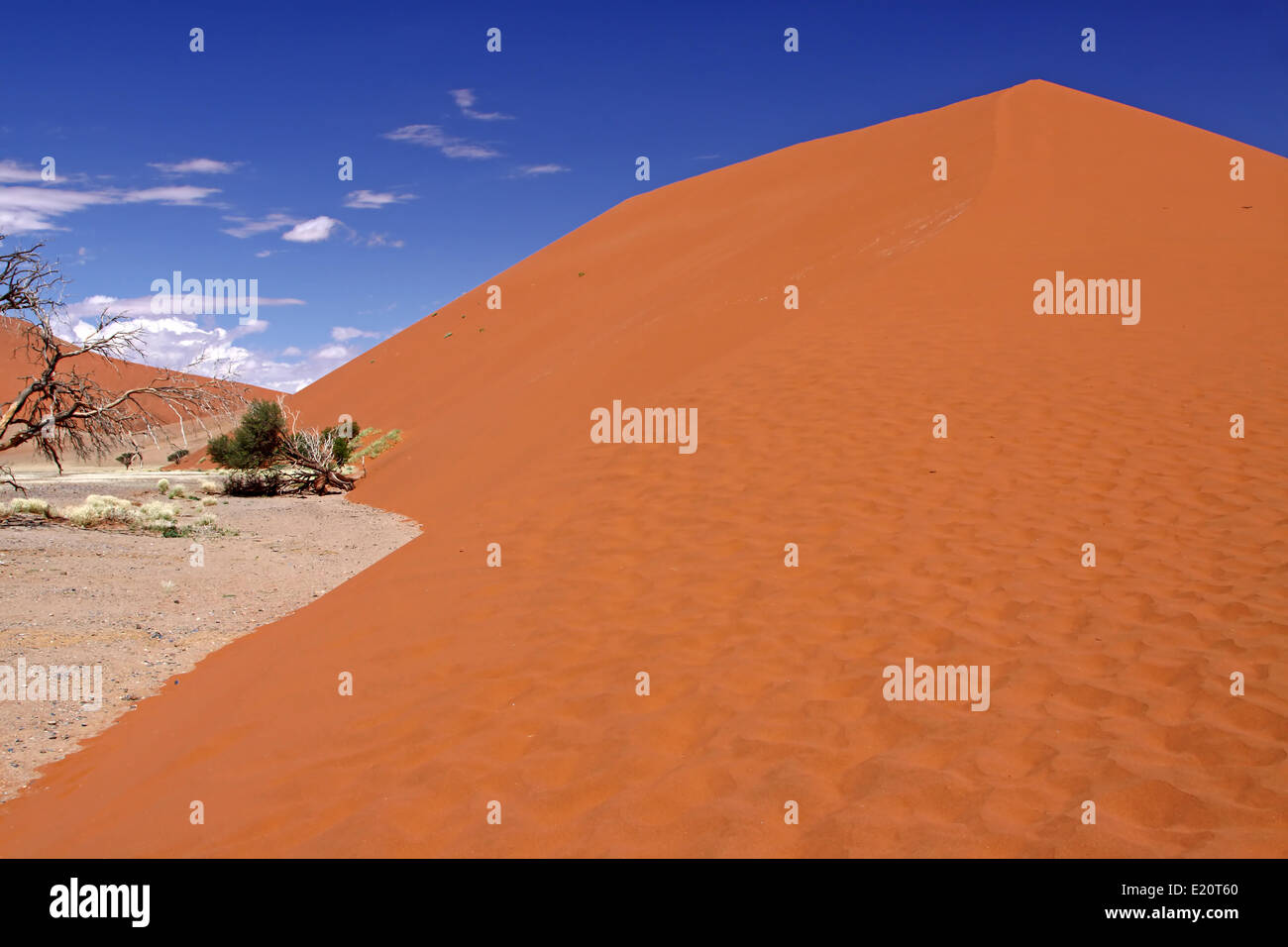 Dune 45, Namib-Desert, Namibia Stock Photo