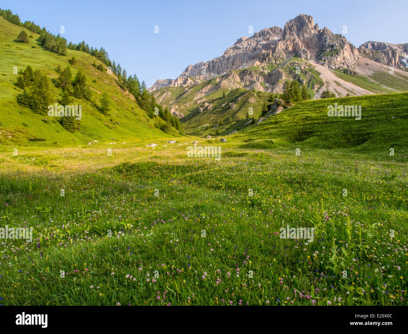 Summer landscape green meadows hi-res stock photography and images - Alamy