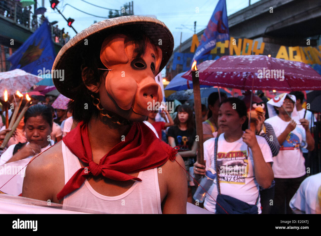 Manila, Philippines. 12th June, 2014. A protester wearing a pig's mask