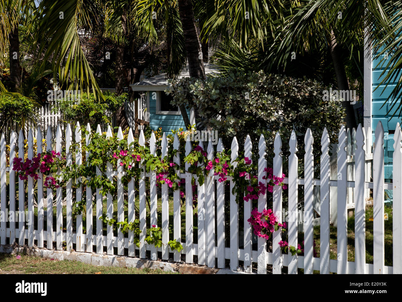 Neighborhood fence with flowers growing throughout Stock Photo Alamy