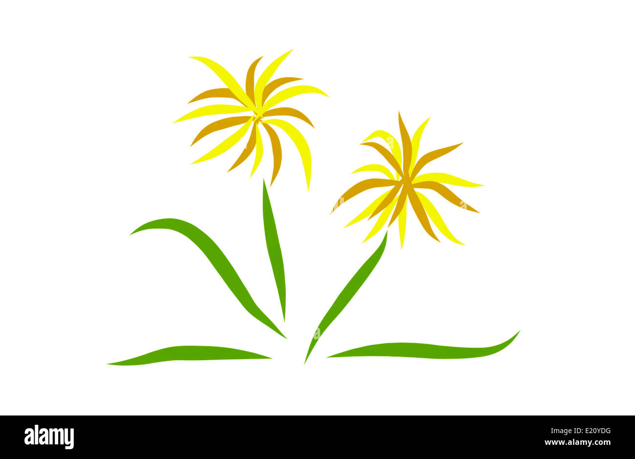 Flowering plant illustration hi-res stock photography and images - Alamy