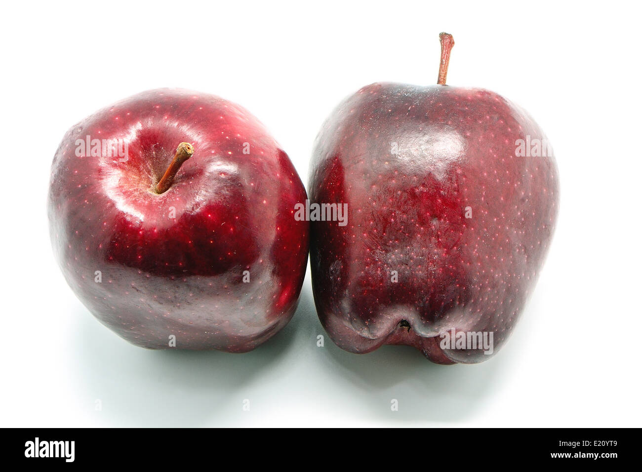 Fresh purple apple, isolated on a white background Stock Photo