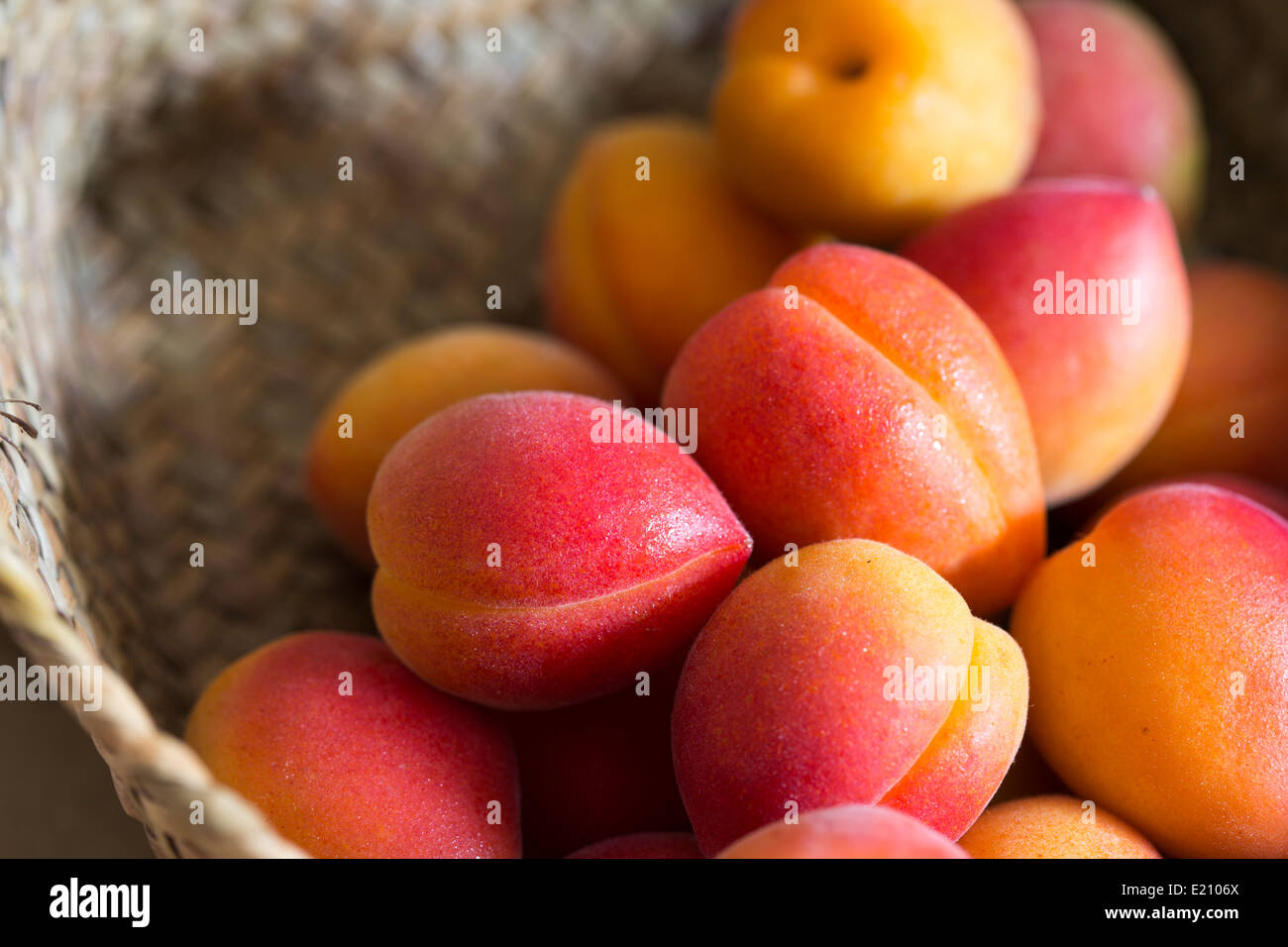 Mallorca grown two toned pink and red apricots in a woven basket Stock Photo