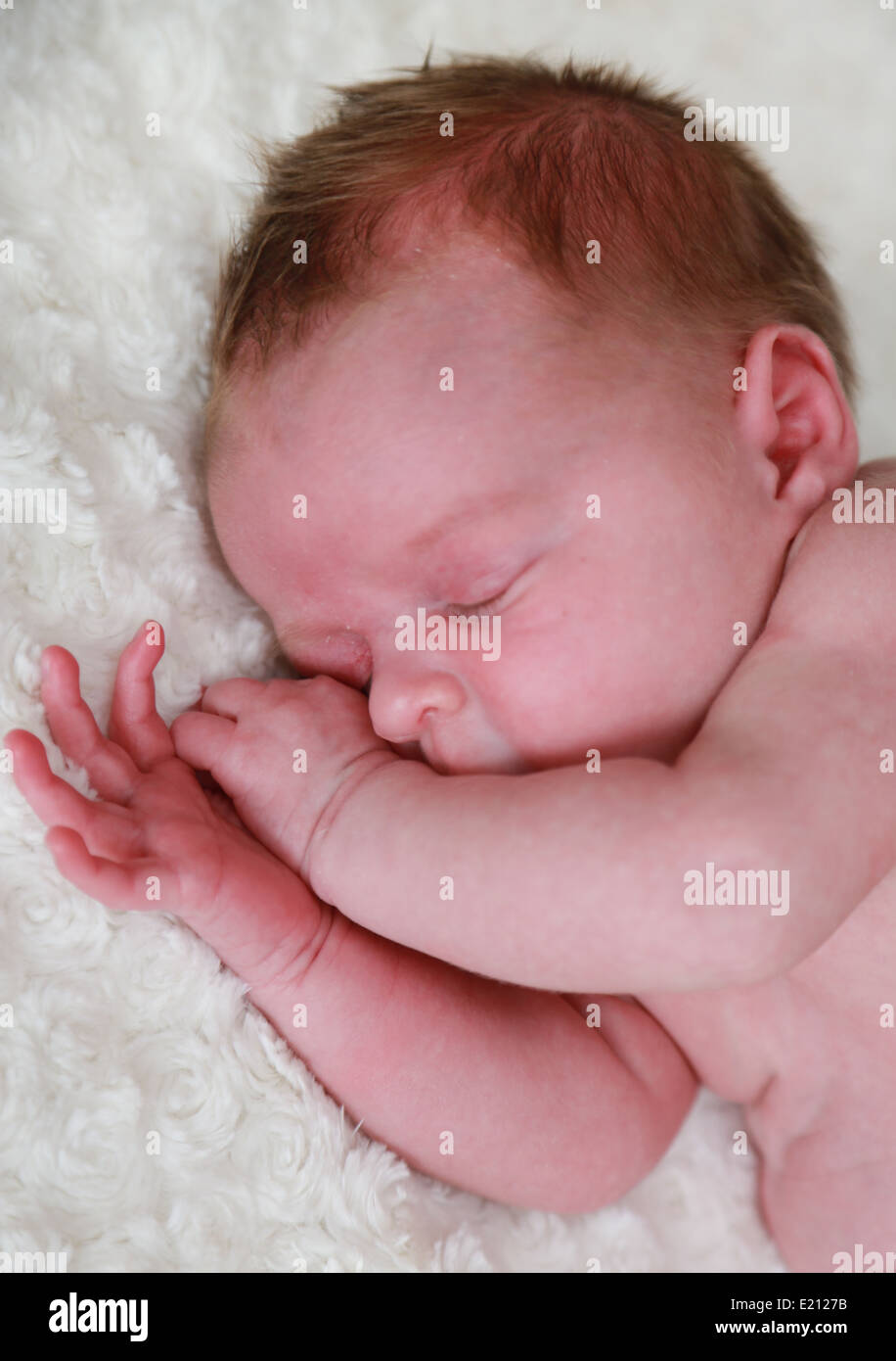 Sleeping newborn baby 1 week old Stock Photo Alamy