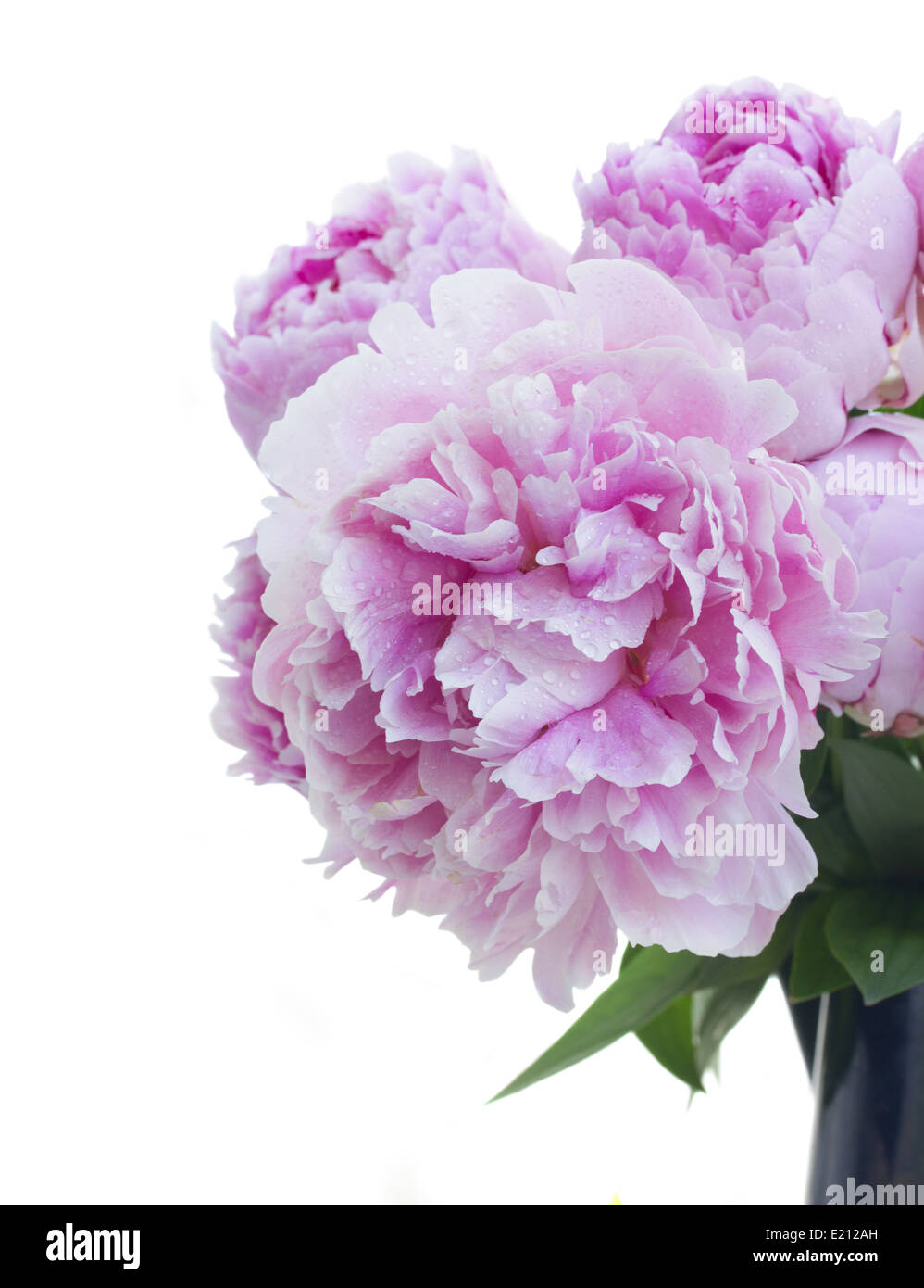 bouquet of pink peonies Stock Photo - Alamy