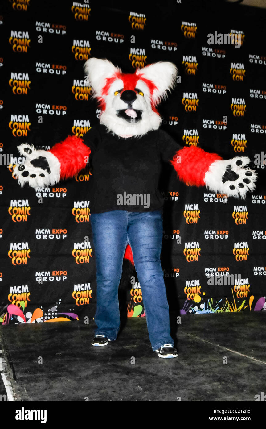 Man attends Comicon dressed as Lunchfox Stock Photo