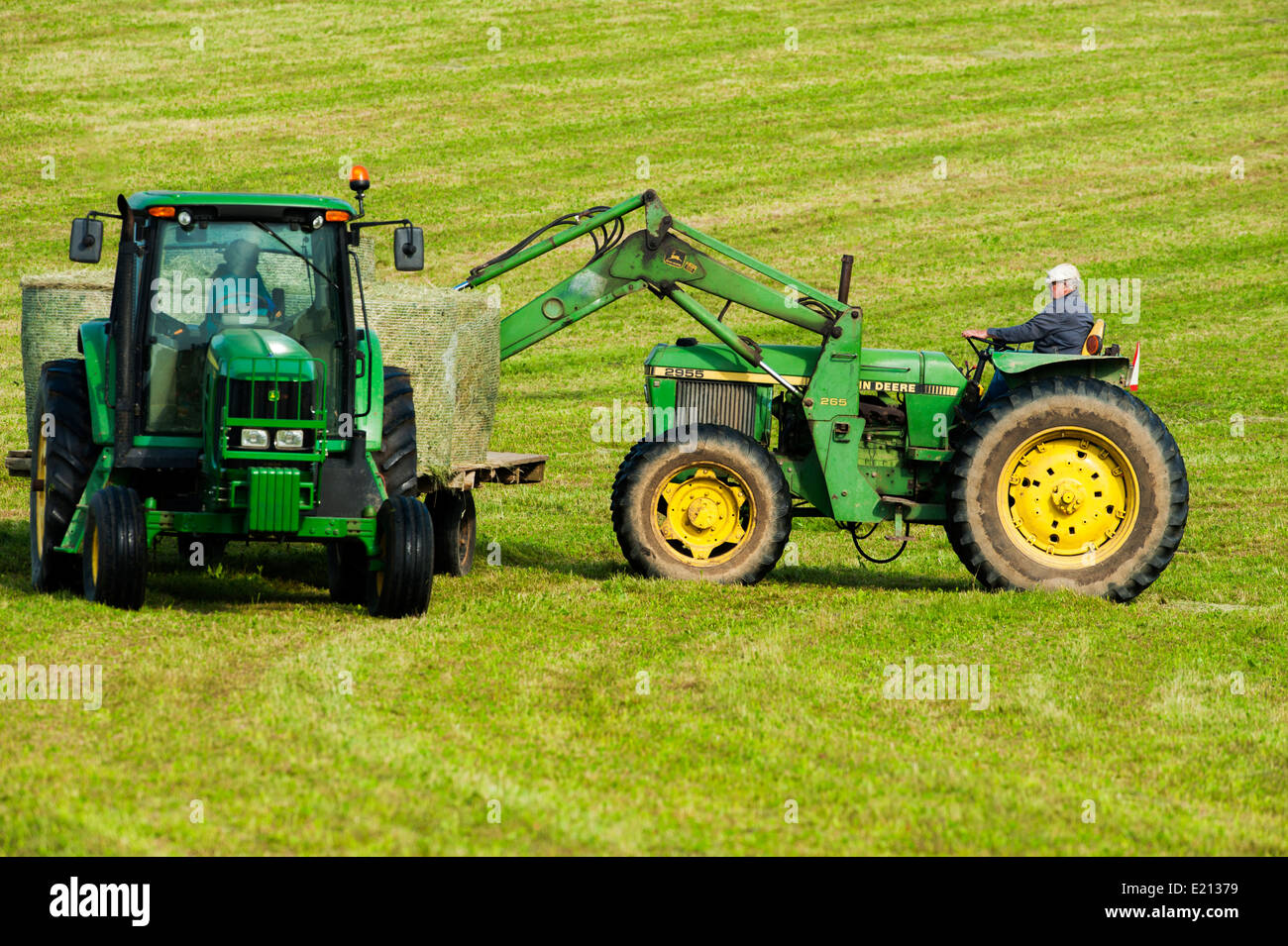 Farmer loading rolls of round baled hay onto a flatbed trailer with