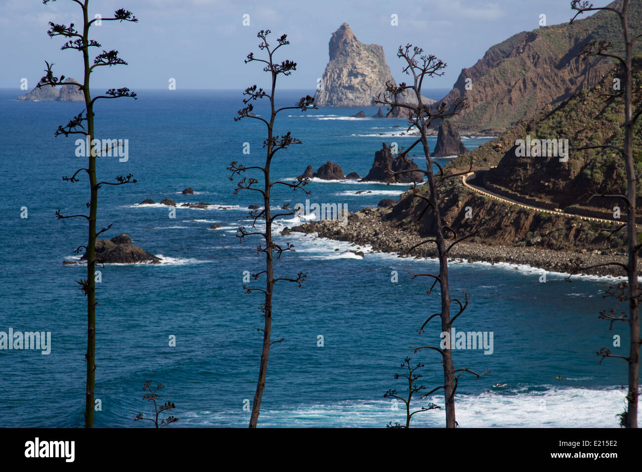 The rocky coastline near Almaciga in Northern Tenerife Stock Photo