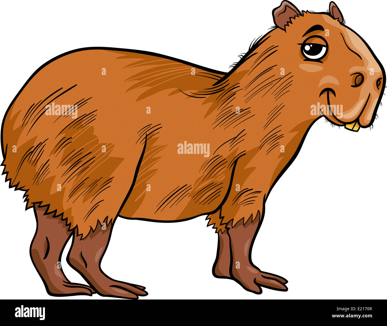 pet lover capybara funny cute capybaras petting animals pet illustration  pet accessories pet costume em 2023