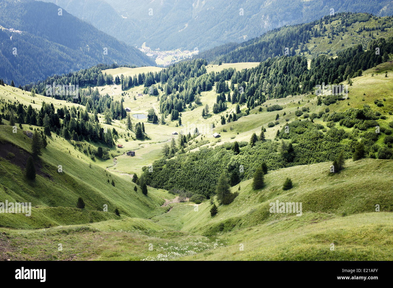alpine green valley in the springtime Stock Photo - Alamy