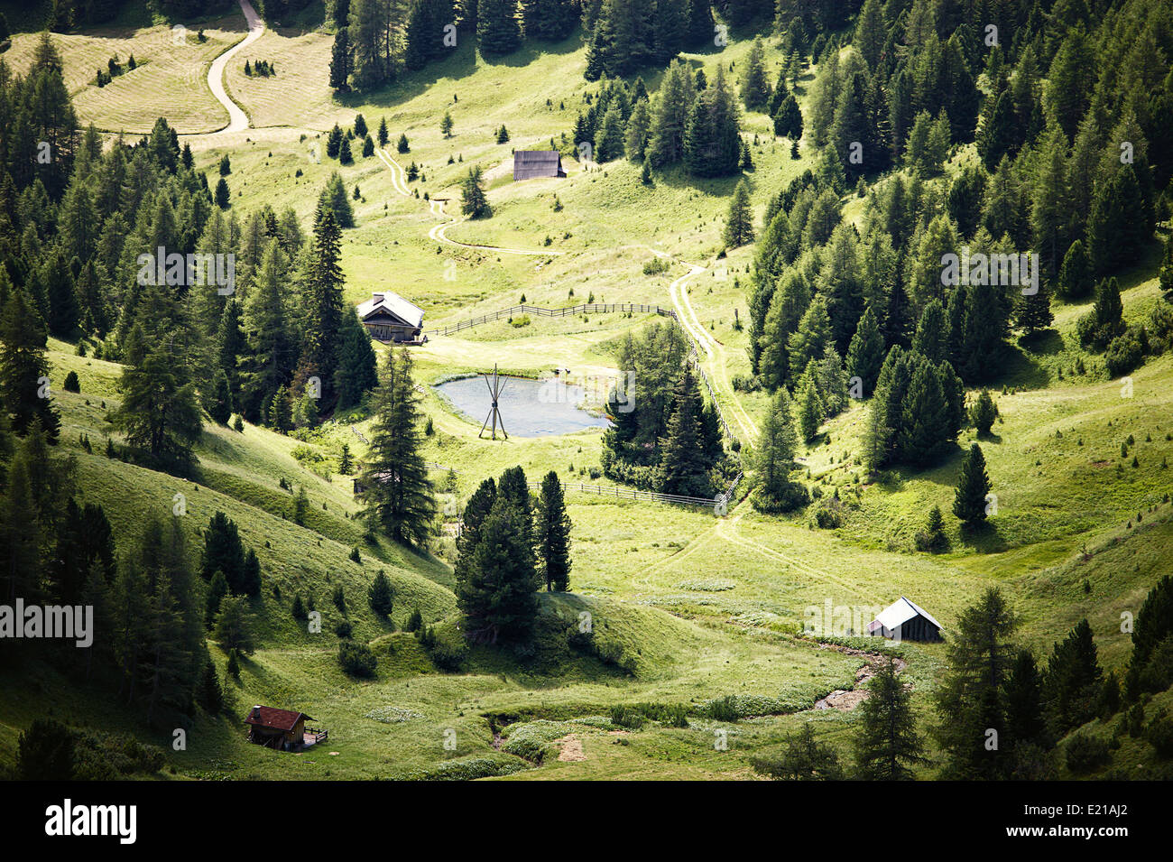 alpine green valley in the springtime Stock Photo - Alamy
