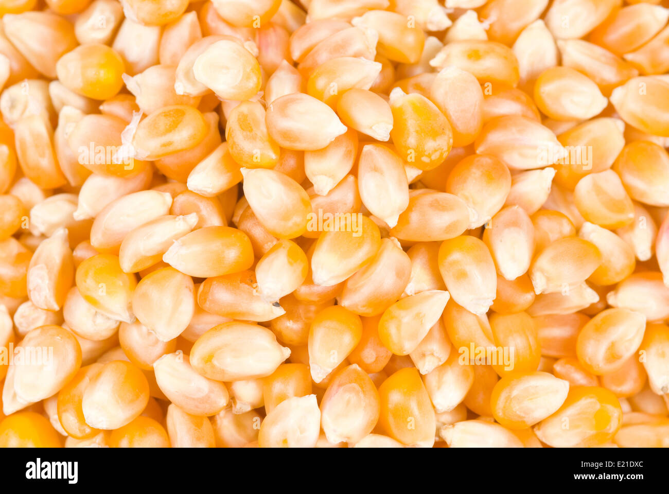 Ingredient of pop corn Stock Photo Alamy