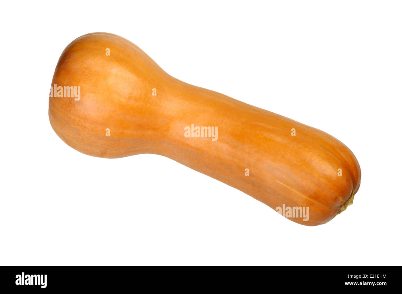 long orange pumpkin Stock Photo - Alamy