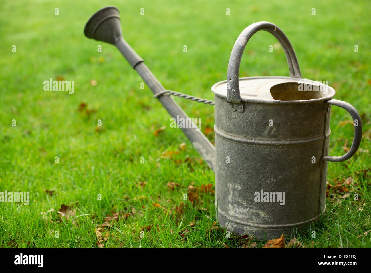 Watering can Stock Photo