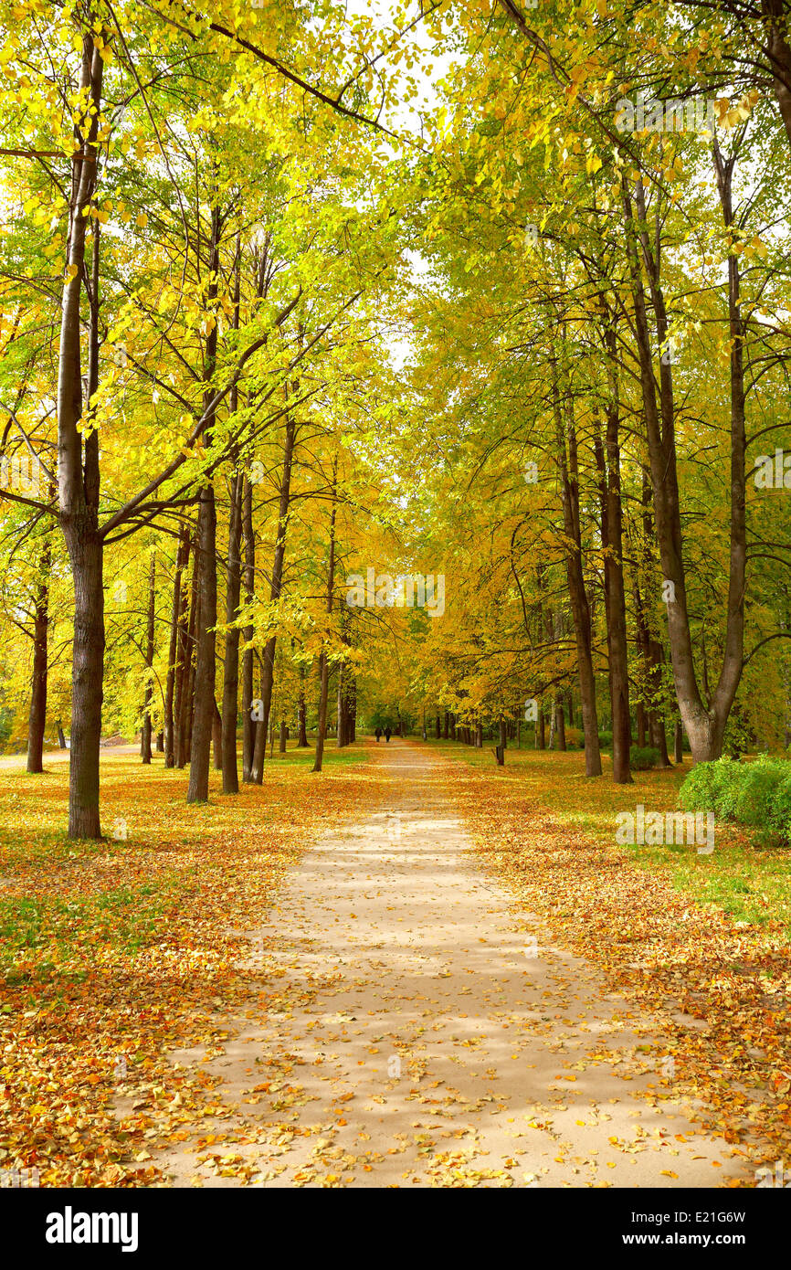 Alley in the daytime hi-res stock photography and images - Alamy