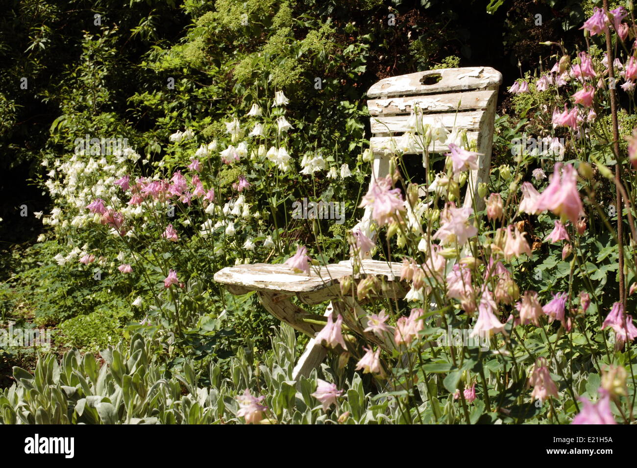 Chair garden hires stock photography and images Alamy