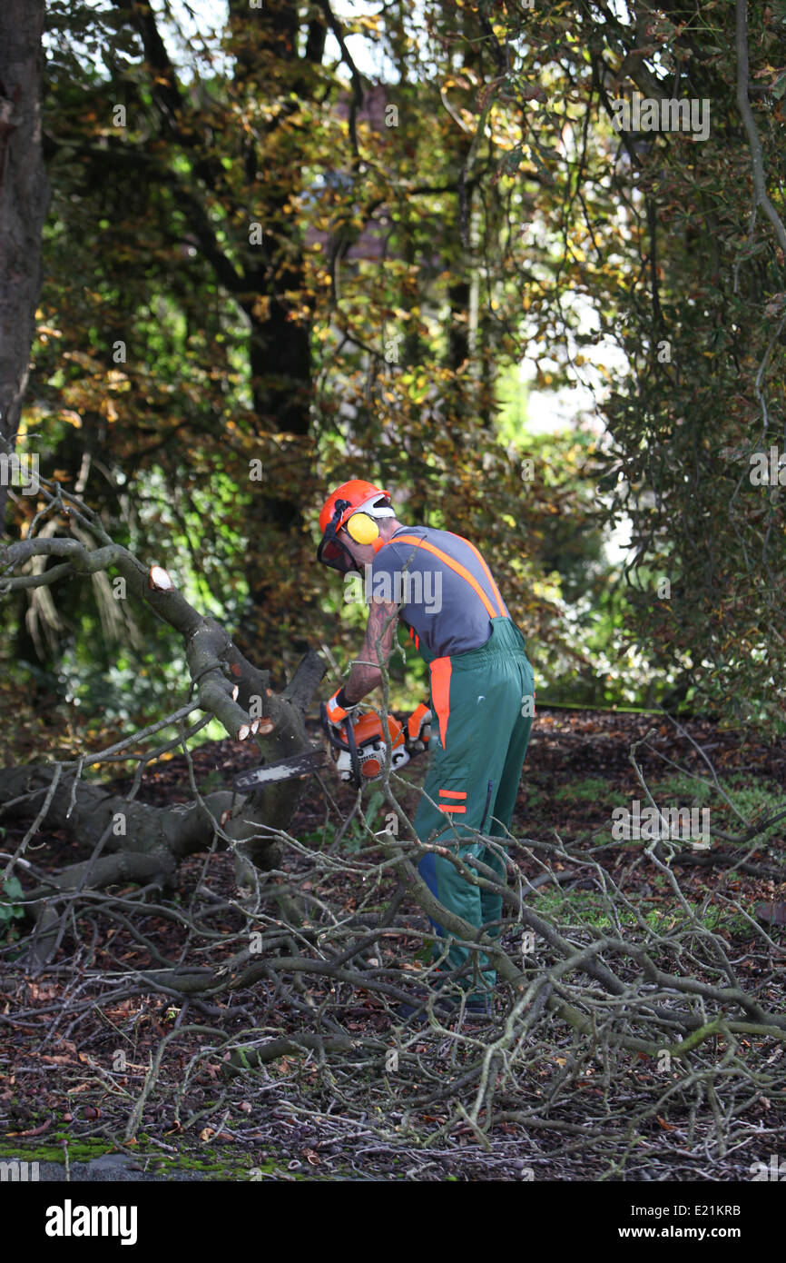 Lumberjack at work Stock Photo Alamy