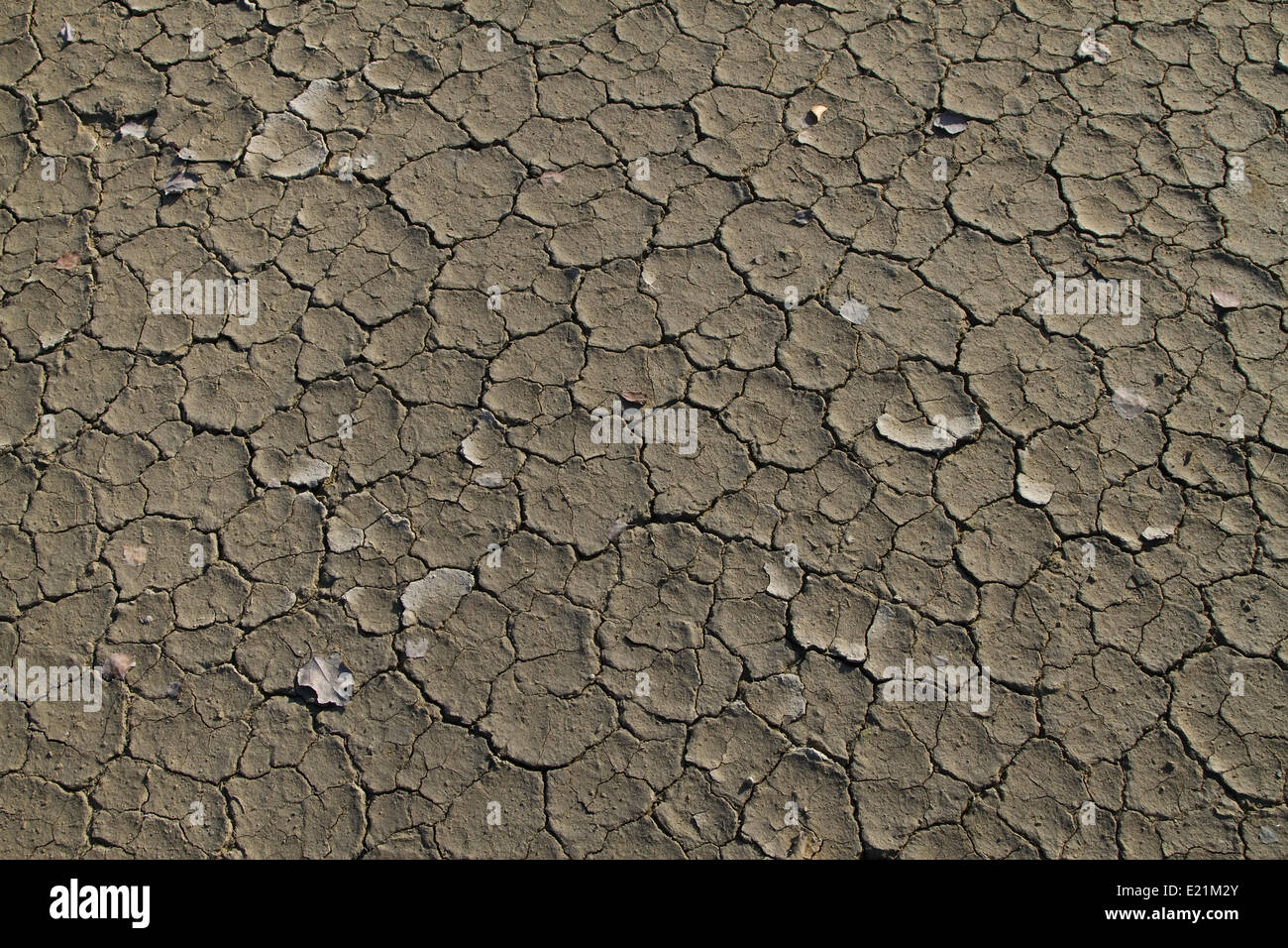 Infertile Soil High Resolution Stock Photography and Images Alamy