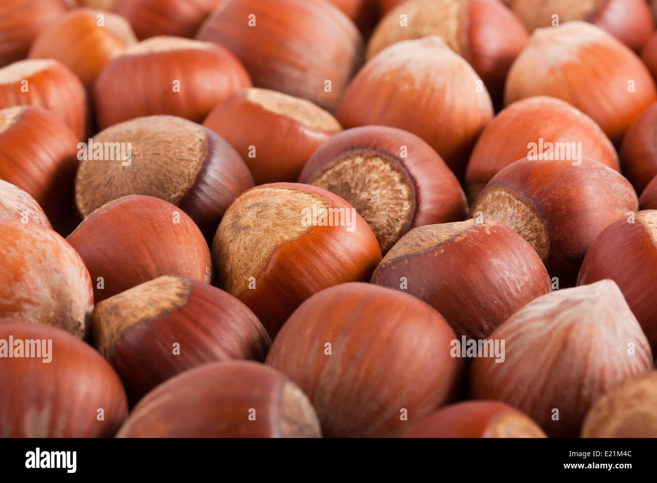 background of the hazelnuts Stock Photo - Alamy