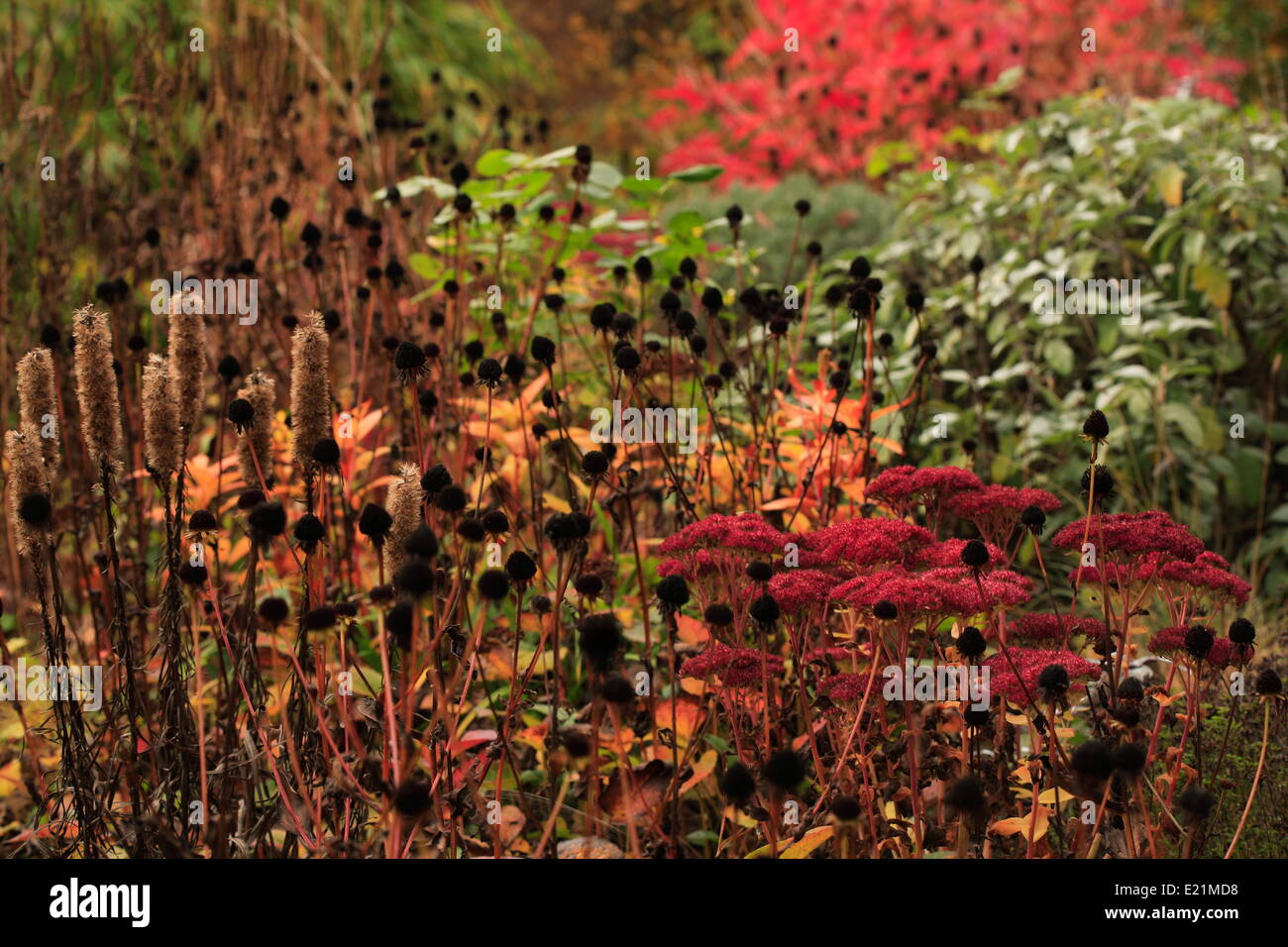 Autumn atmosphere Stock Photo