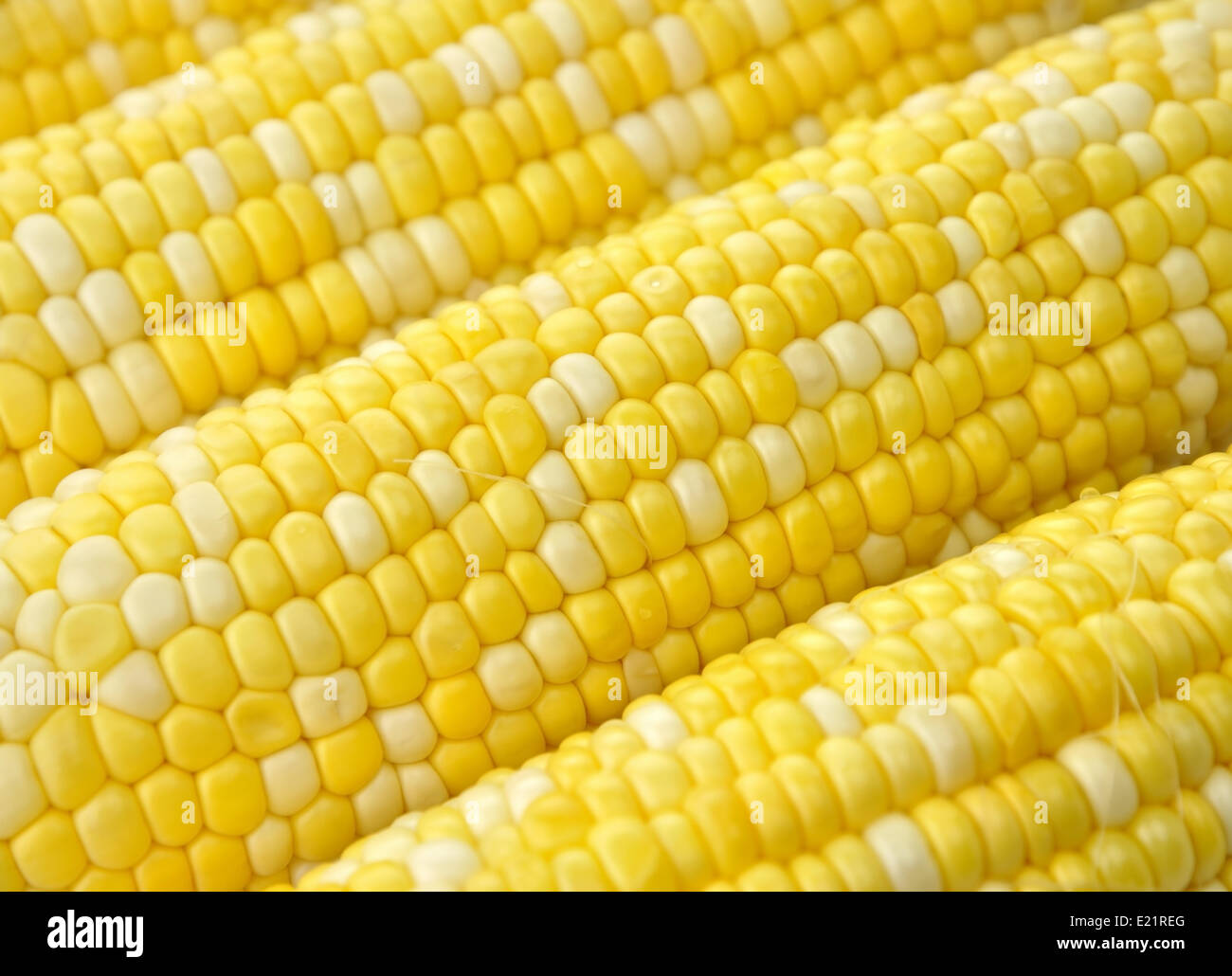 Ears of corn Stock Photo Alamy