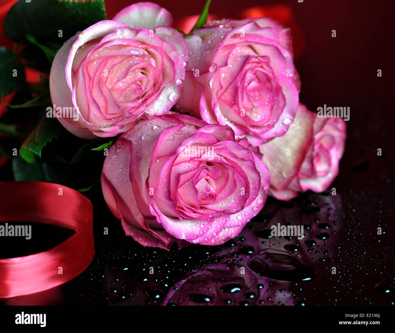 21 Pink Roses Roses greeting date opportunity hi-res stock photography and images - Alamy