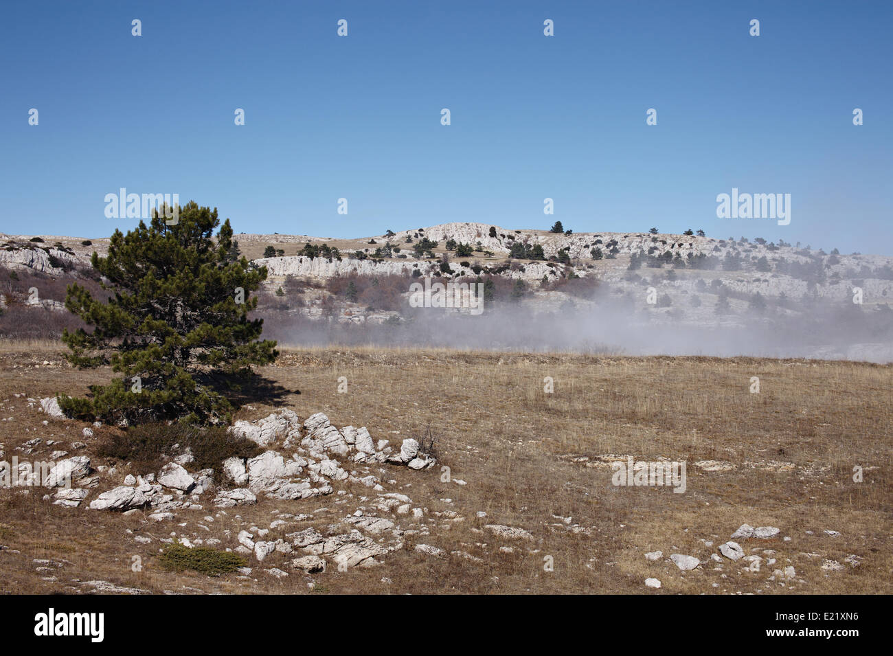 Foggy mountain woods hi-res stock photography and images - Alamy