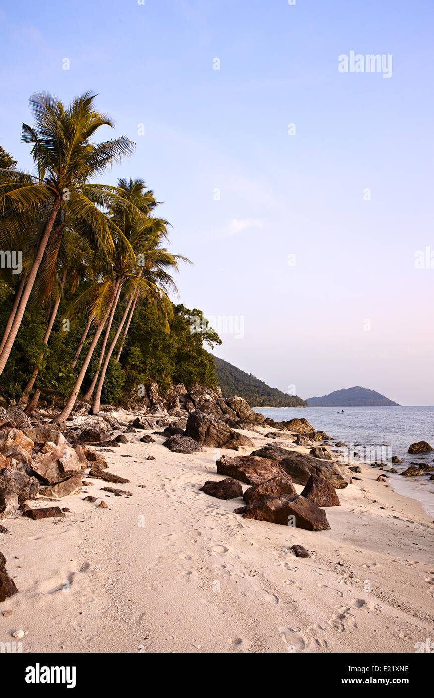 Tropical rocky beach coconut palm hi-res stock photography and images ...