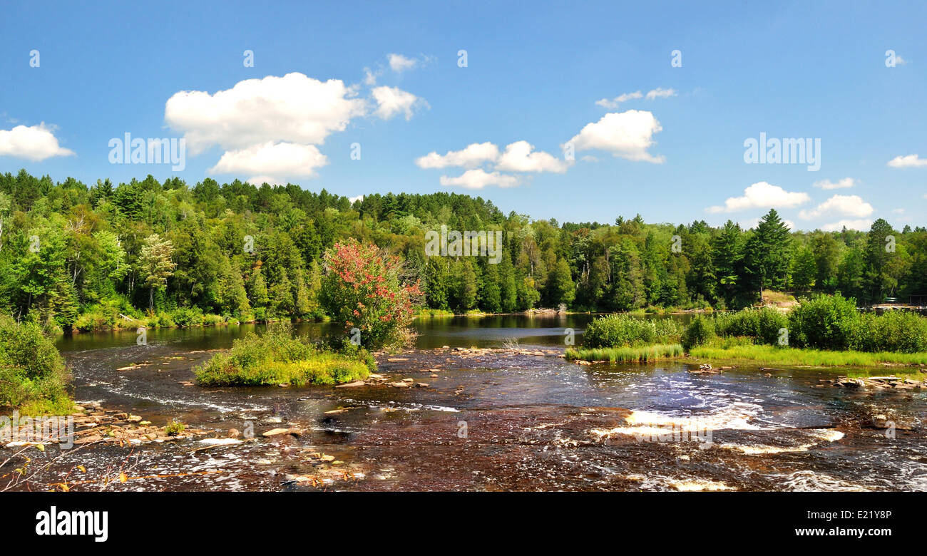 Summer forest river hi-res stock photography and images - Alamy