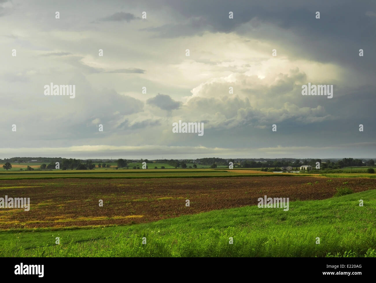 Rainy day wildlife hi-res stock photography and images - Alamy