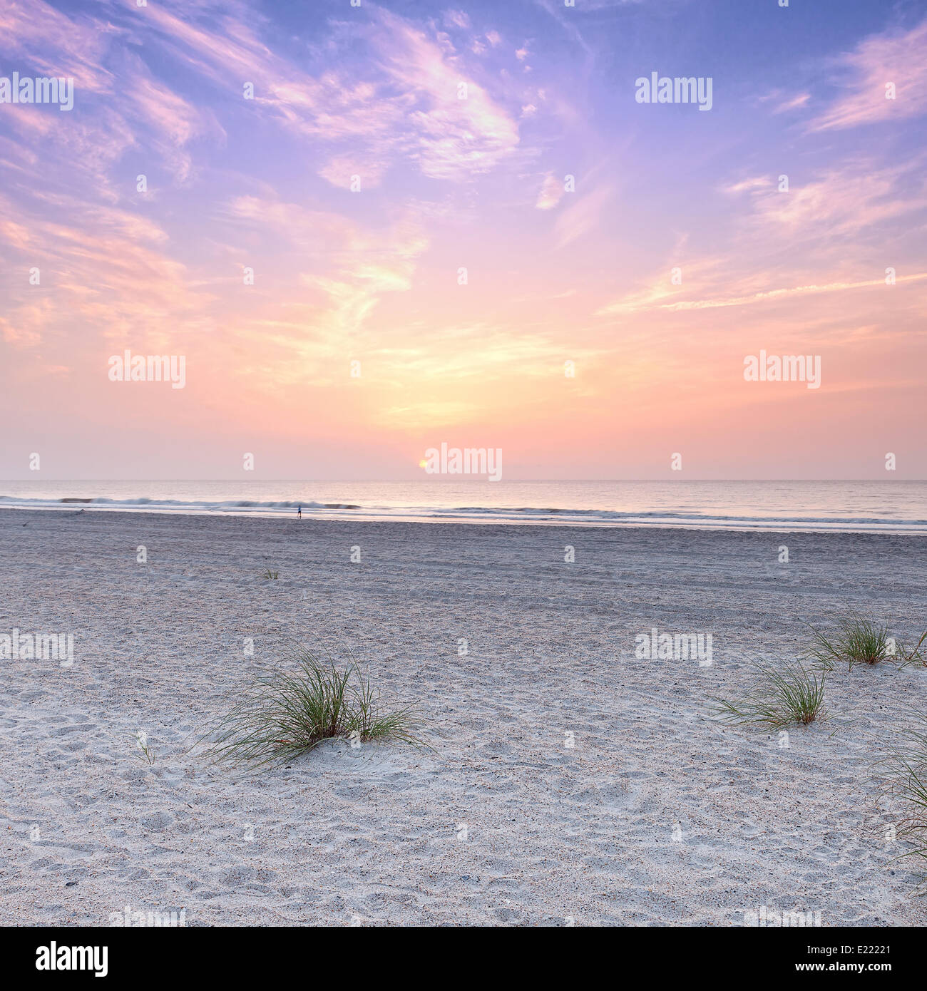 My Image 25