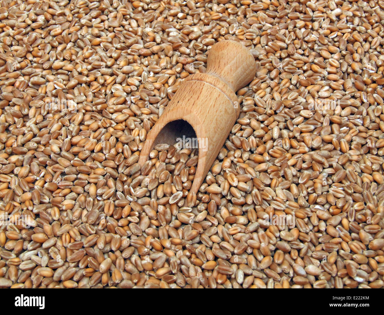 a few wheat Stock Photo
