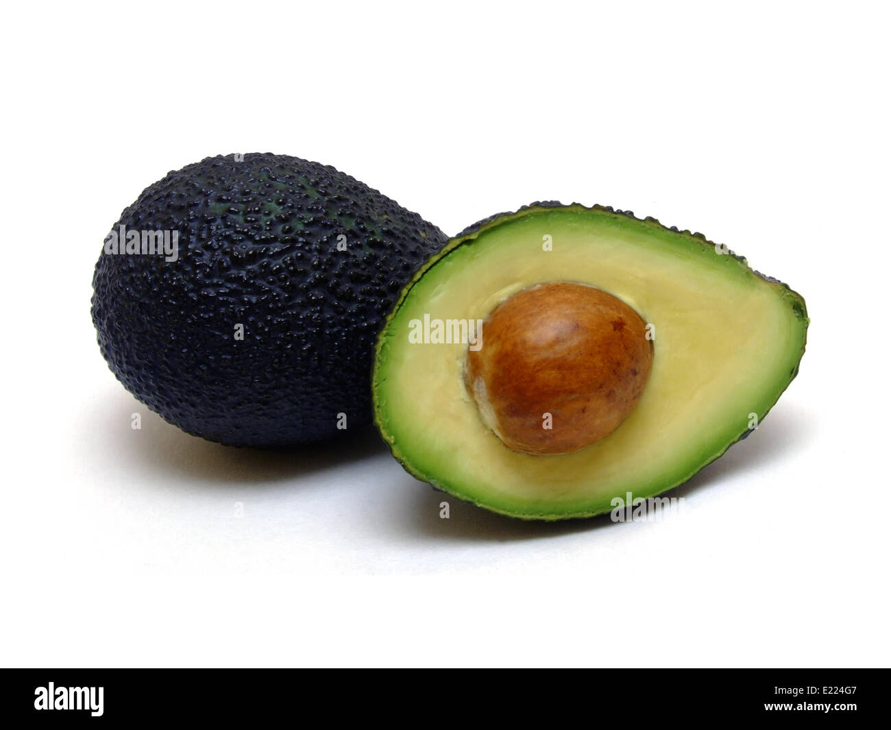 Avocado (Persea americana) Stock Photo