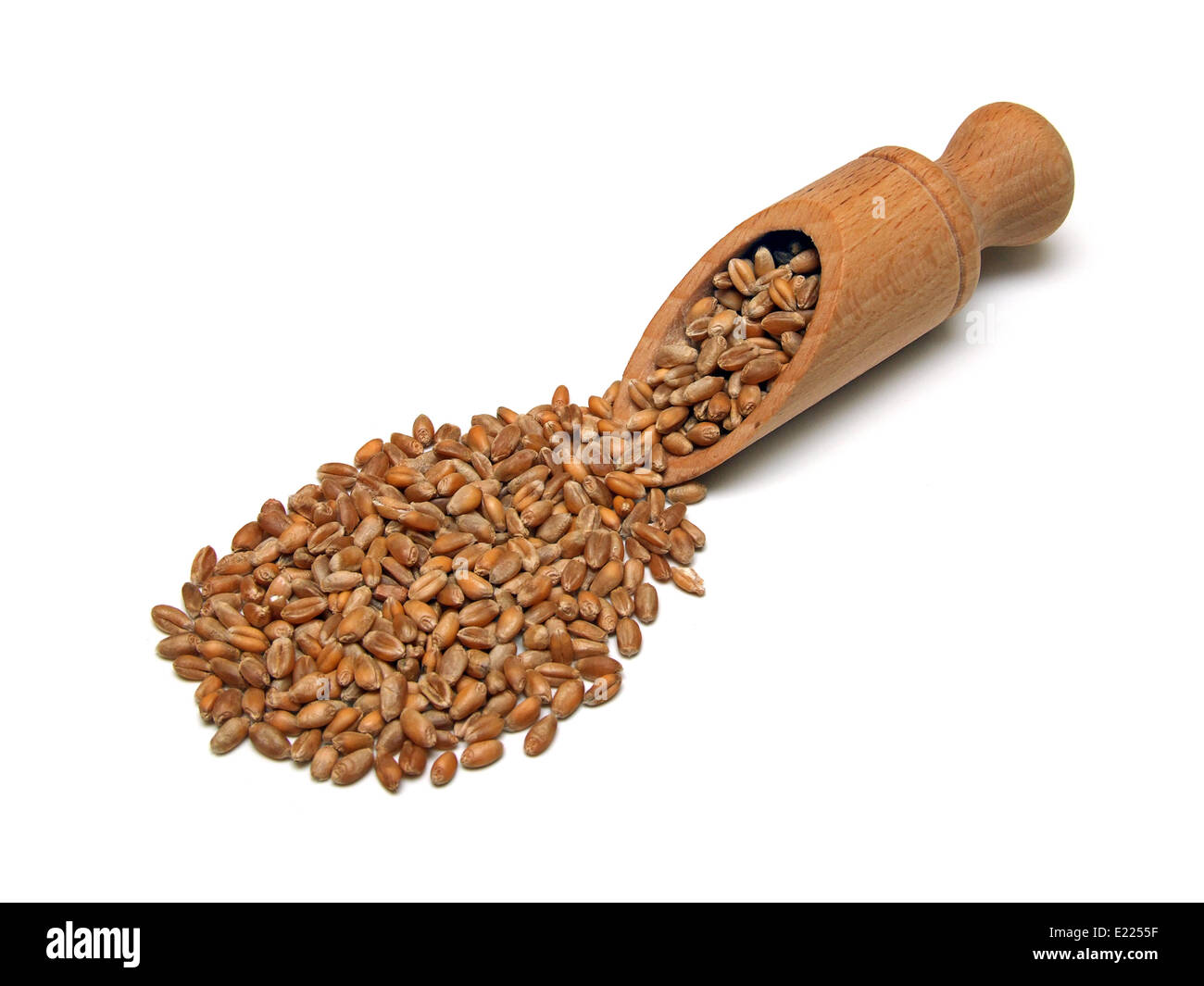 wheat Stock Photo