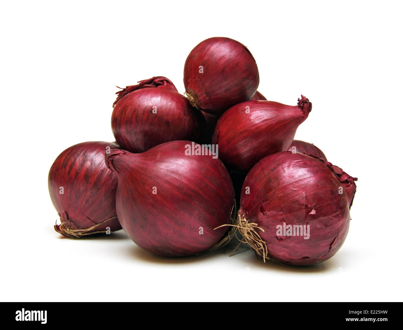 purple onion (Allium cepa) Stock Photo