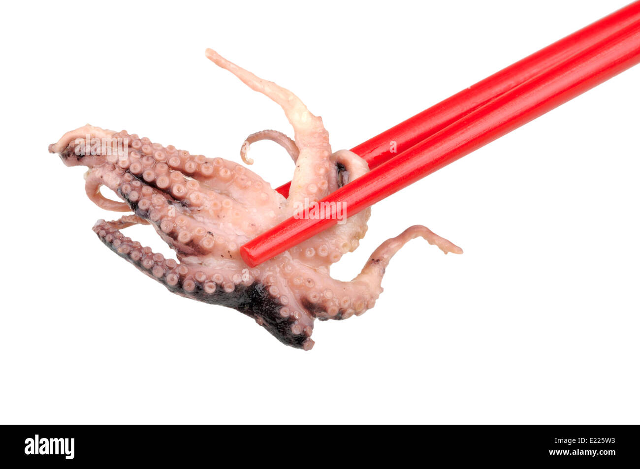 octopus in the chopstick Stock Photo