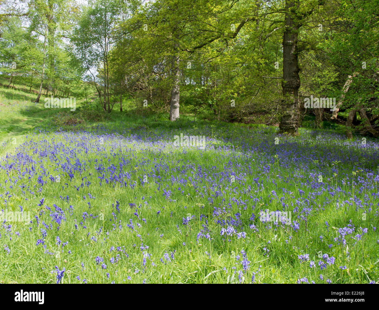 Riccal Dale High Resolution Stock Photography and Images - Alamy