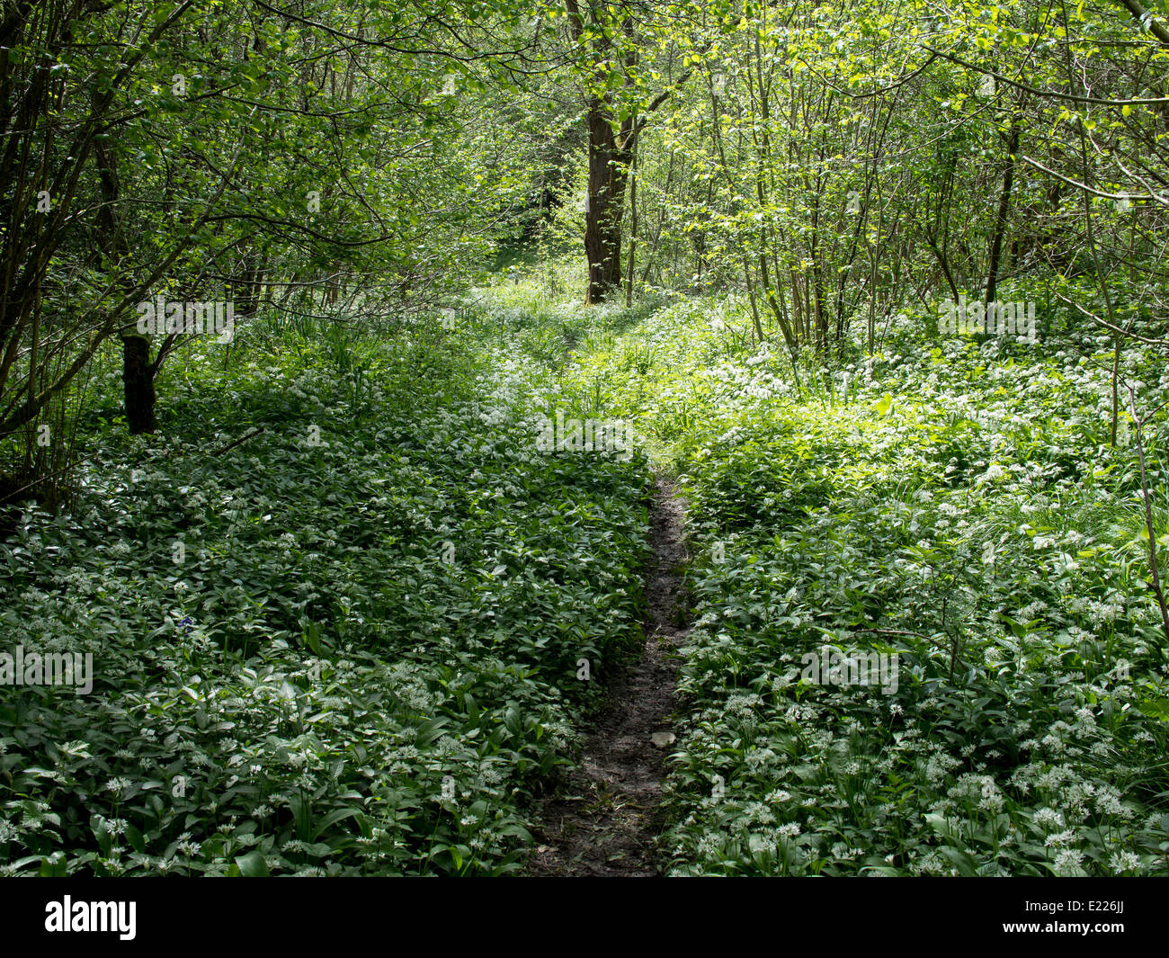 Riccal Dale High Resolution Stock Photography and Images - Alamy